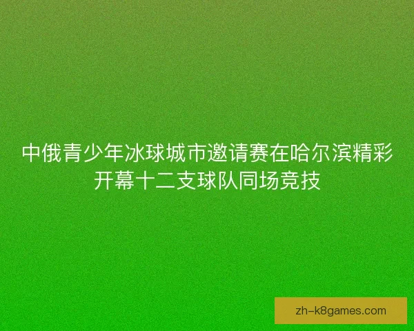 中俄青少年冰球城市邀请赛在哈尔滨精彩开幕十二支球队同场竞技